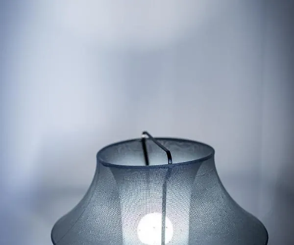 Bright + Near Belvedere By Jr *